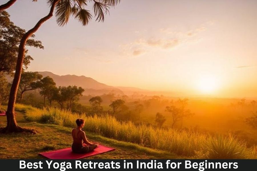 Best Yoga Retreats in India for Beginners